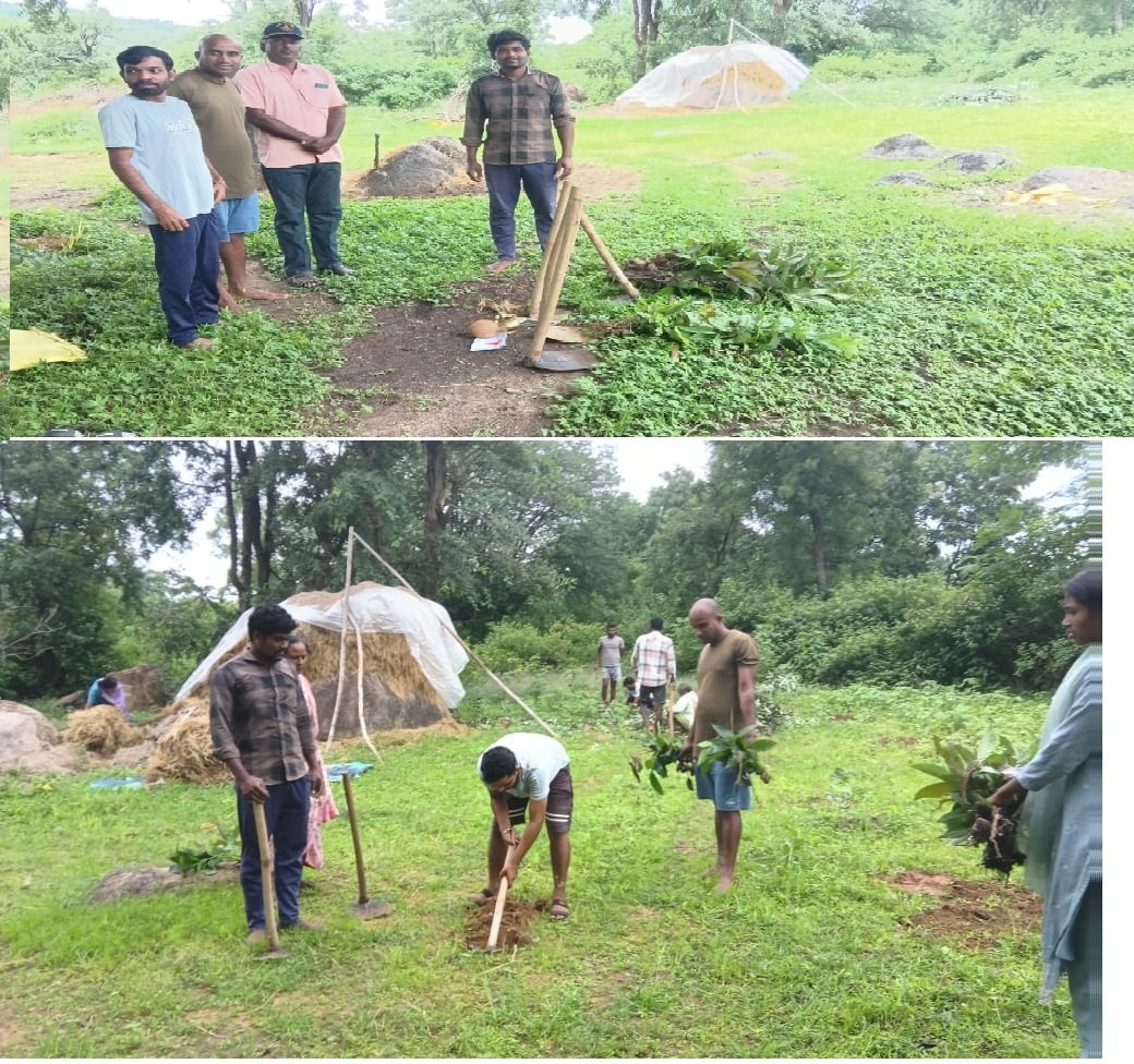 ग्राम डोडकावाही में युवाओं ने रचा इतिहास, आवास पारा में किया 200 पौधों का वृक्षारोपण